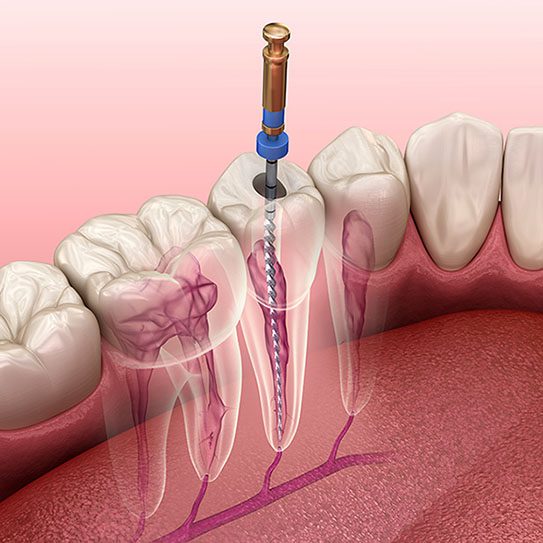 - Cameo Dental Specialists