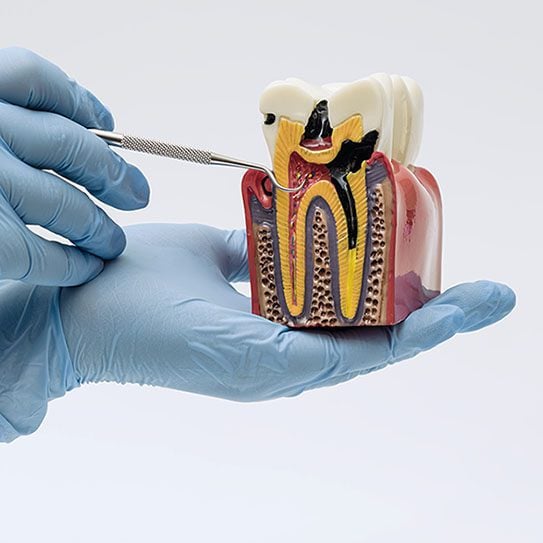 - Cameo Dental Specialists